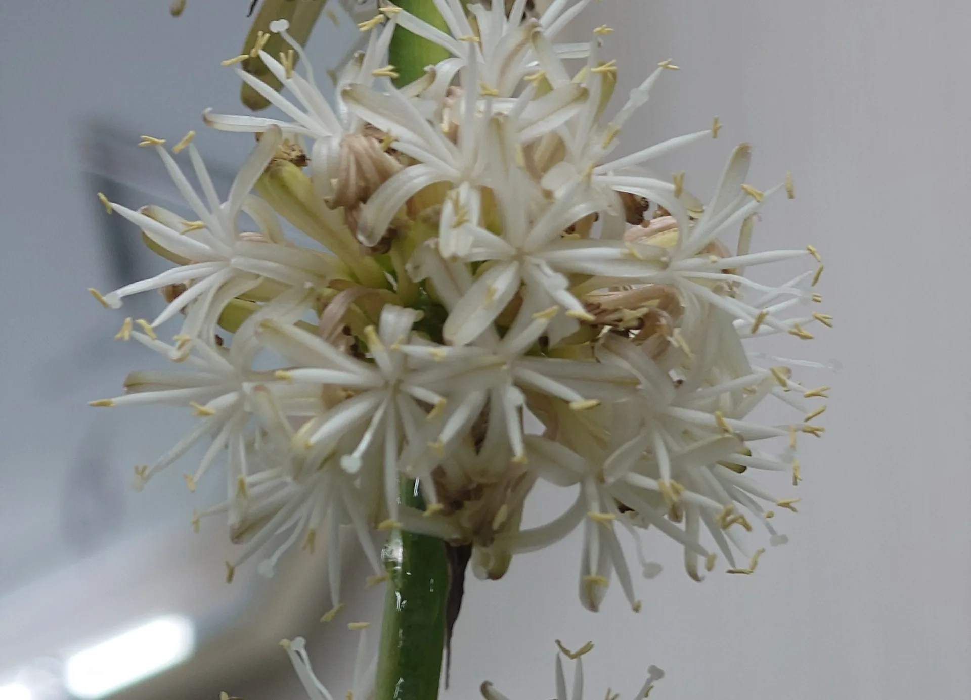 【漢方相談藤沢】【漢方サプリメント相談藤沢】